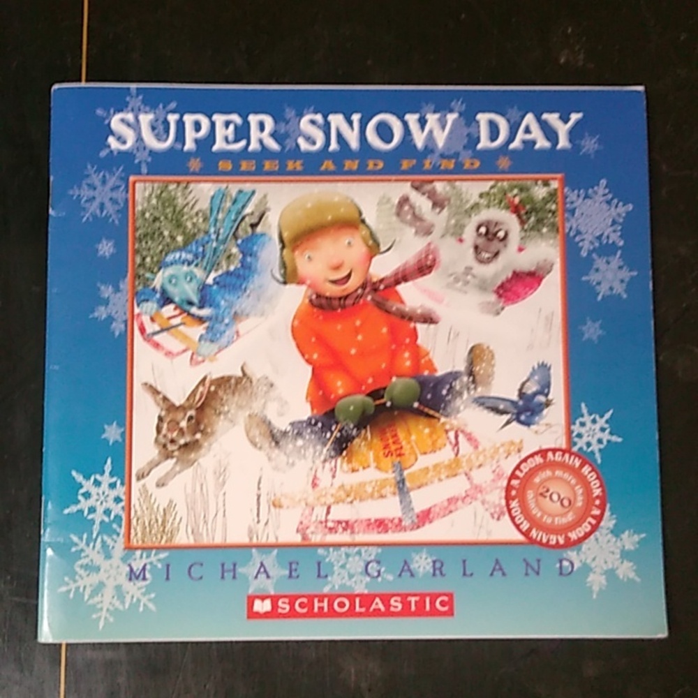 Super Snow Day Seek and Find Michael Garland Children's Picture Book Daycare